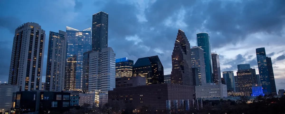 Houston mold removal professionals