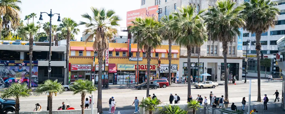 Los Angeles mold inspection professionals