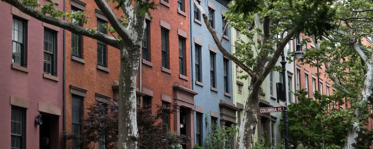 New York City mold removal professionals